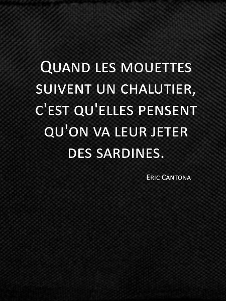 Seagulls - Eric Cantona