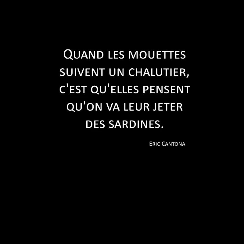 Möwen - Eric Cantona