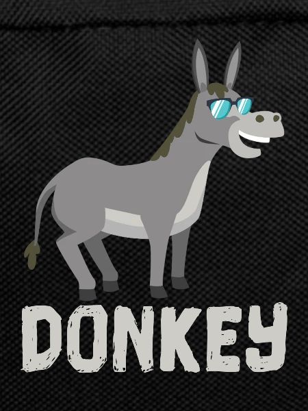 DONKEY SUNGLASSES DONKEY
