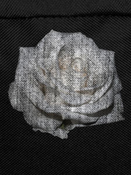 FLOWER White Rose White