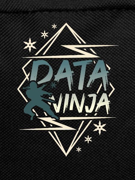 Data Scientist Data Enginieer