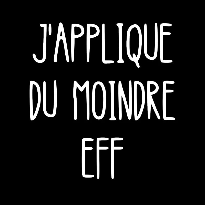 la loi du moindre eff