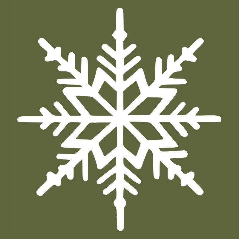 Snowflake Snow Winter Christmas Cold 17