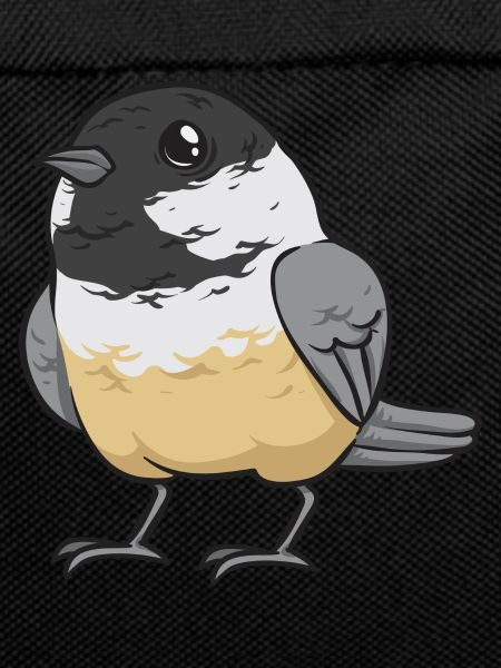 Bird Chickadee Bird Watching
