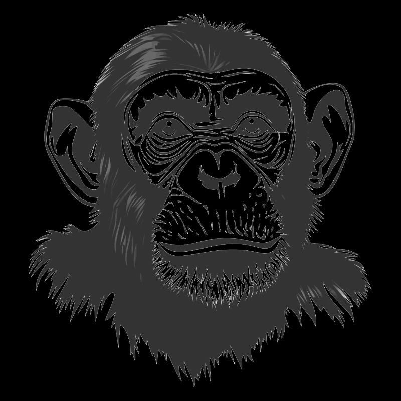 Monkey - Chimpanzee