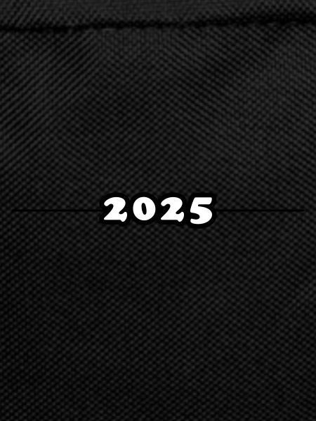 2025 Element
