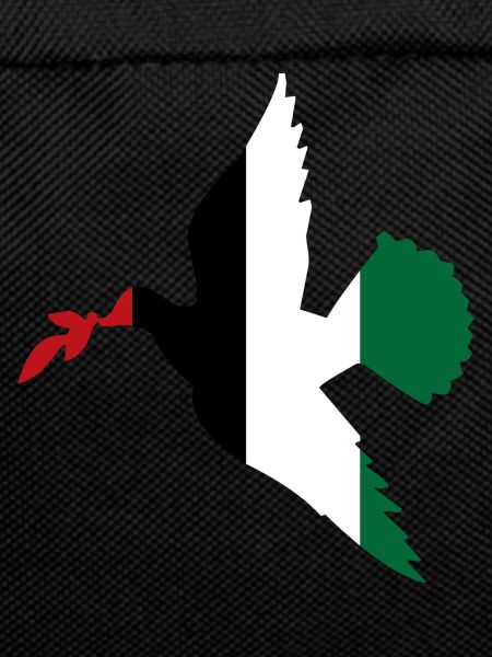 Paix en Palestine