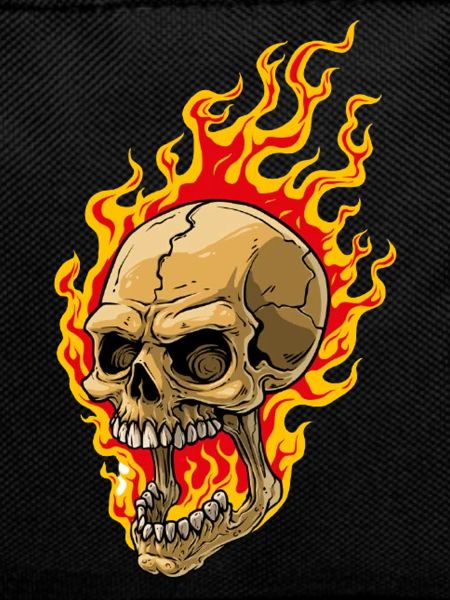 Human skull with flames