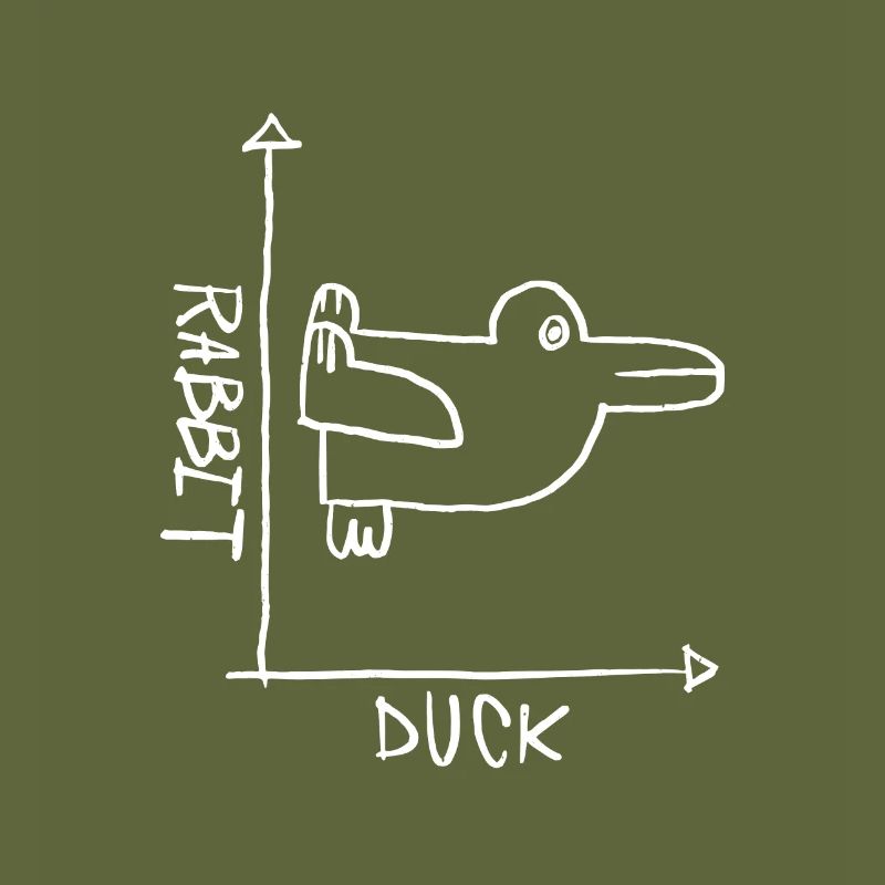 Rabbit Duck Ducks Duck
