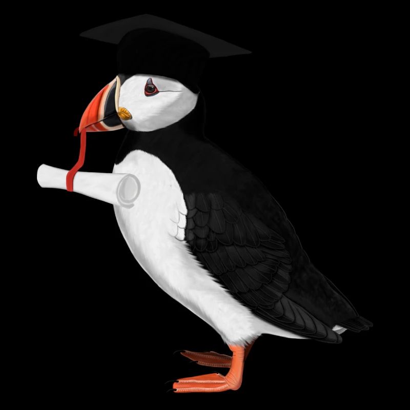 Puffin Bird Graduation Abitur