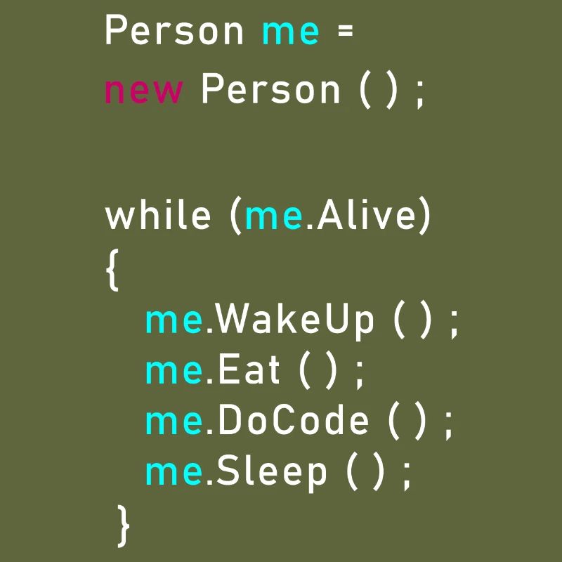Person me = new Person (); Programmieren Code Java