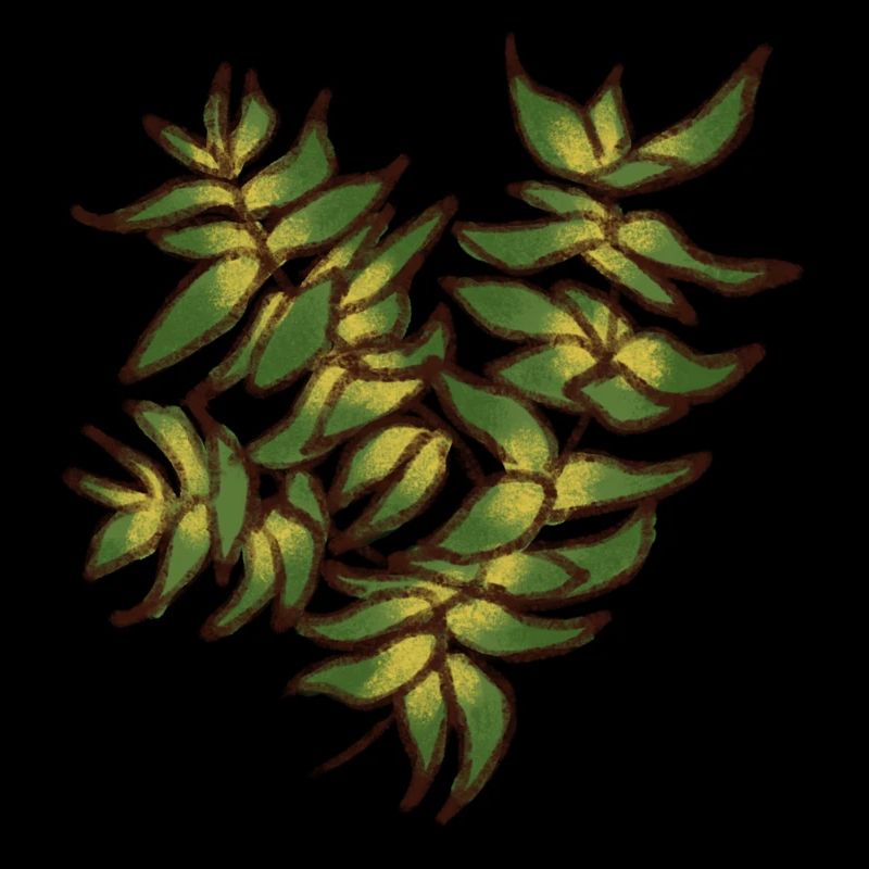 Leafy Plant 2