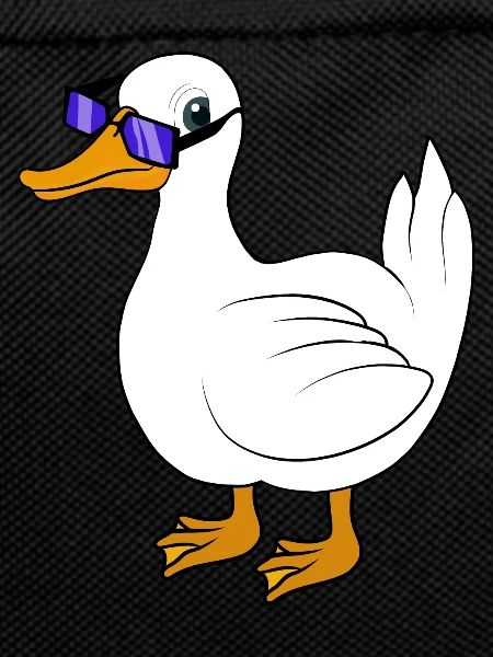 Duck sunglasses cool