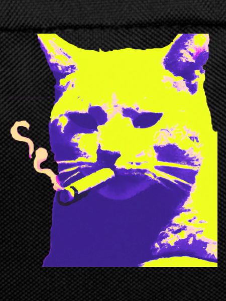 Cat smoking