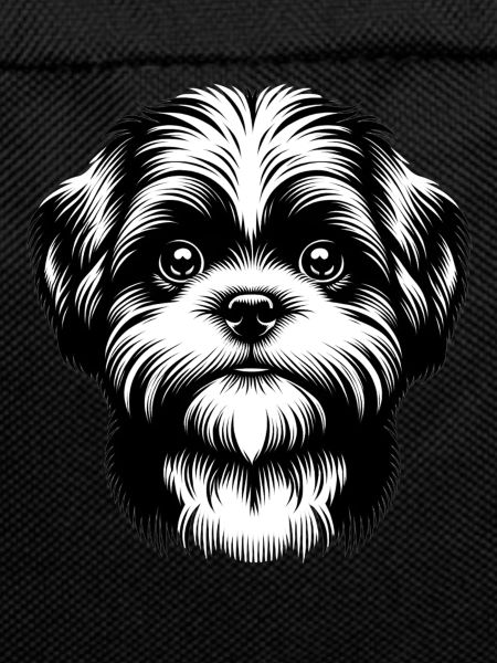Cute little dog