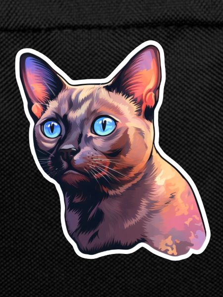 Burma-Katze