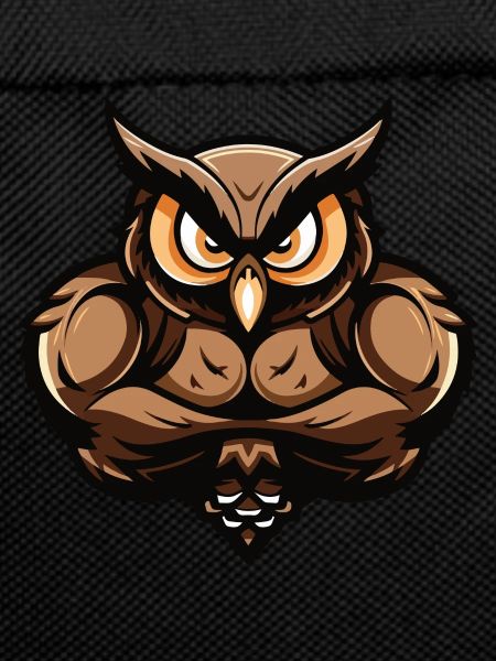 Owl Muscles Bodybuilding