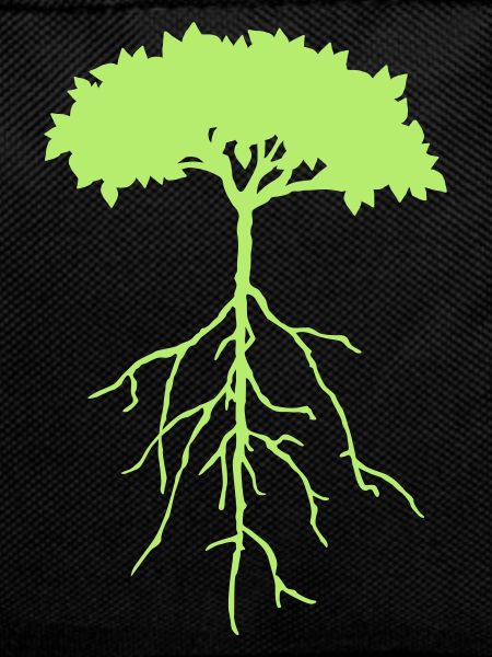 wurzelbaum