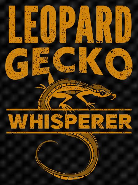 Gecko - Amphibian Animal