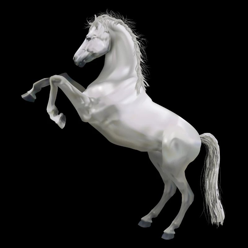 horse