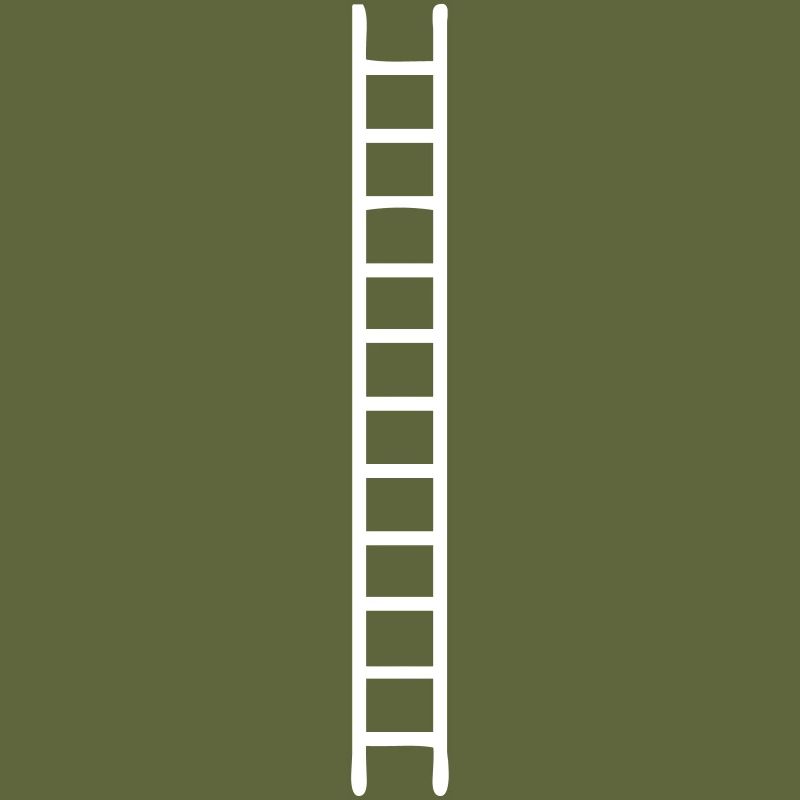 An infinite ladder