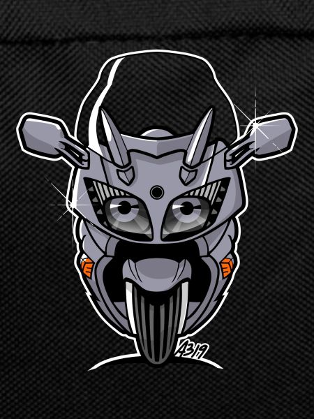 FJR silverstorm