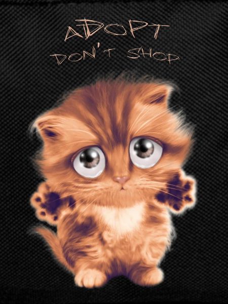 Adopt