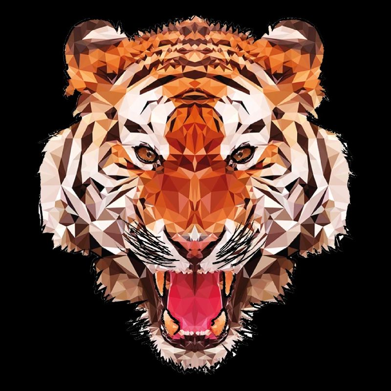 Conception de polygone de tigre