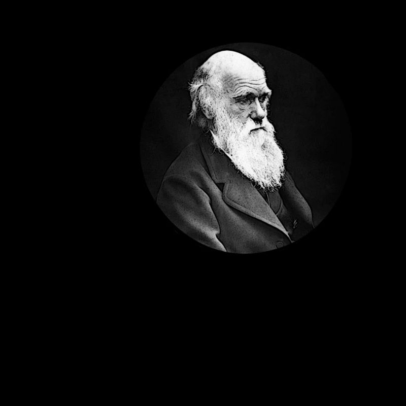 Charles Darwin Dekorativ