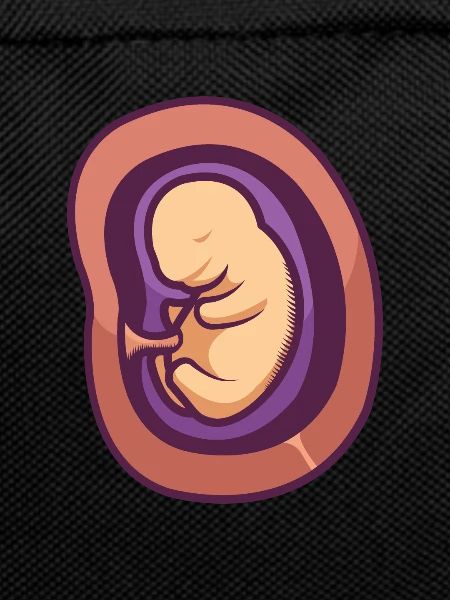 Ein Baby im Mutterleib.