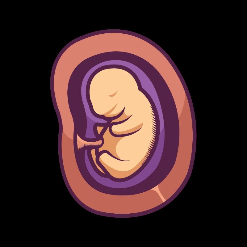 Ein Baby im Mutterleib.