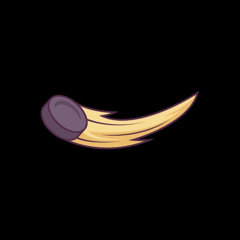 Hokey Puck