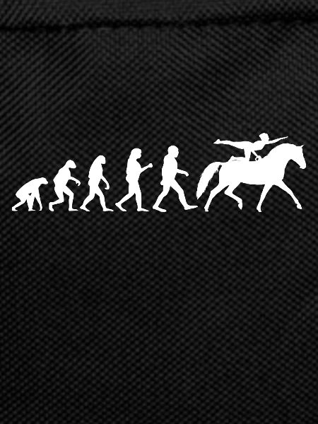 Evolution Voltigier Equestrian Equestrian Voltigieren