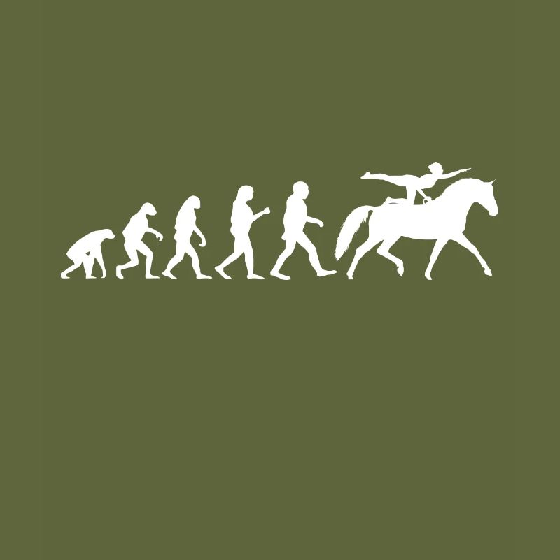 Evolution Voltigier Chevaux Équestres Voltige