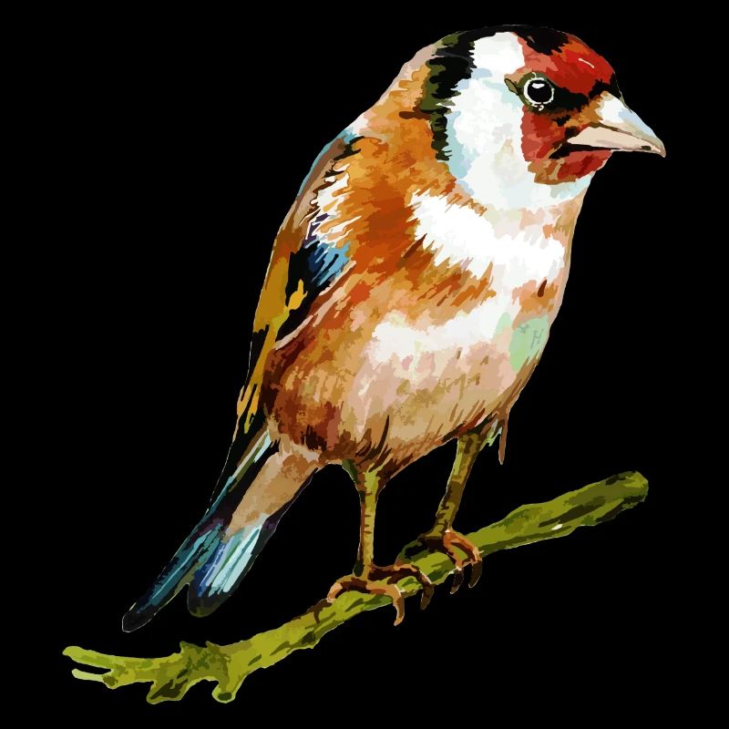 Bunter Vogel