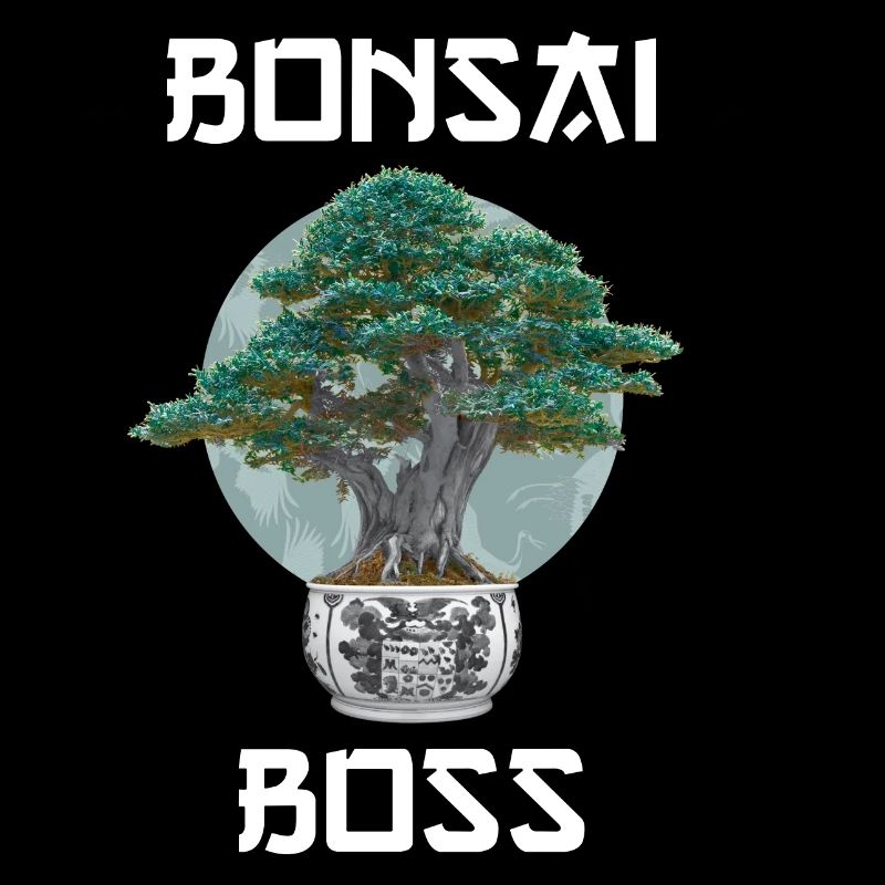 Bonsai Tree Meditation Gift