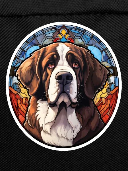 St. Bernard's Head