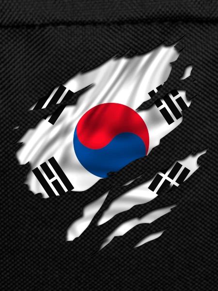 asia flag korea south