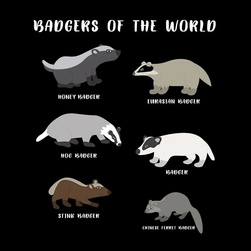 Blaireaux du monde