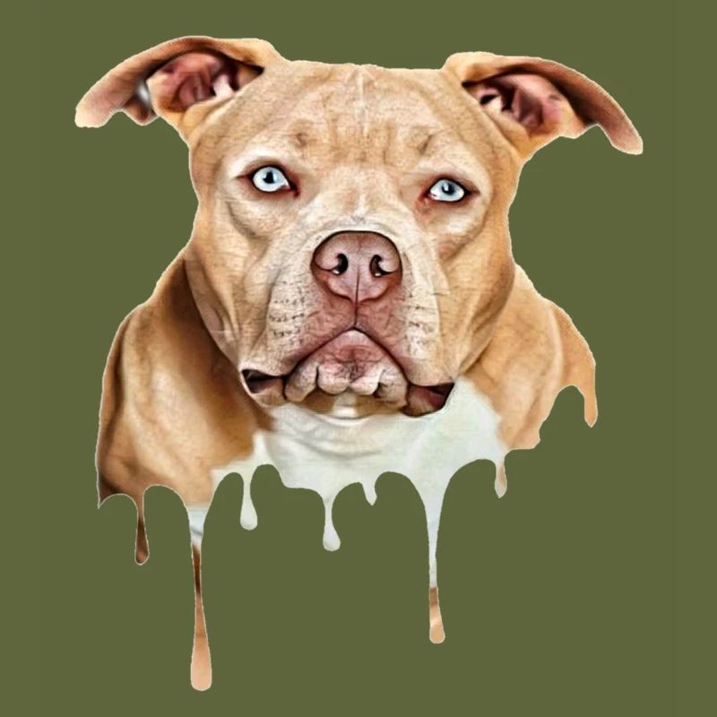 Bully Art American Bully Exotic Bully