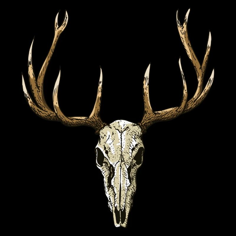 Deer skull
