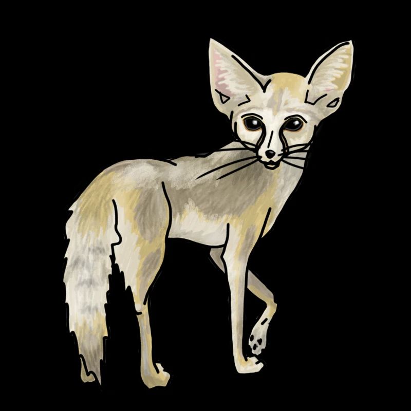 Desert fox Fennec