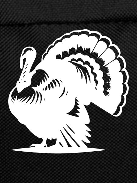 Funny poultry, turkey, huge plumage