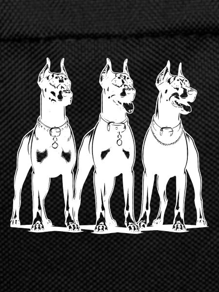 Three smart watchful Dobermans dogs