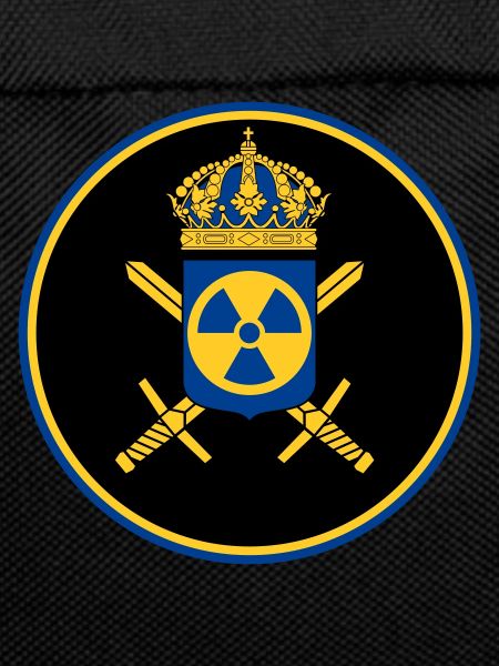 The Swedish Nuclear Weapons Programme