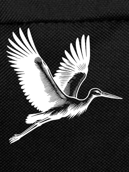 Elegant Flying Stork