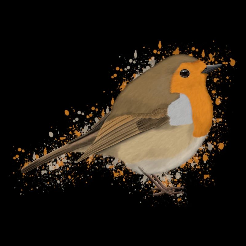 Robin Bird Bird Lover Birdwatcher