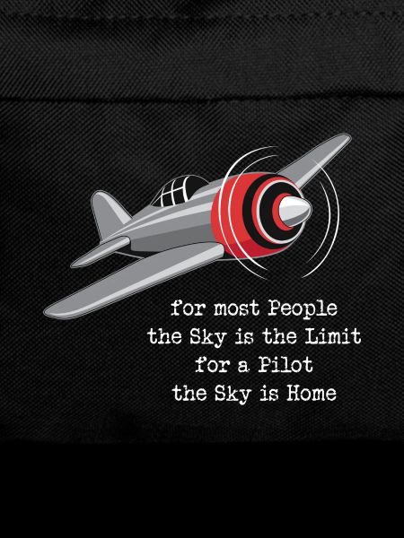 Pilot aviation plane flying gift
