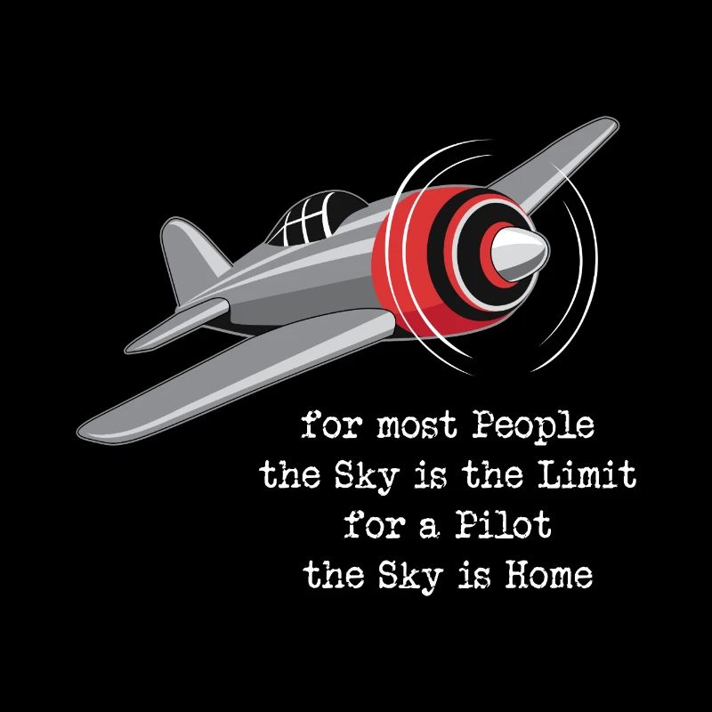 Pilot aviation plane flying gift