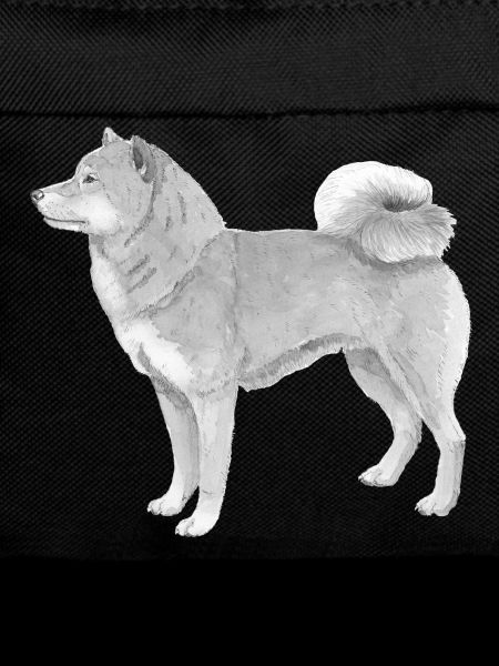 shiba inu